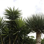아파트 House Of Yucca *