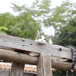 House Of Yucca 아파트 산타 비르지타