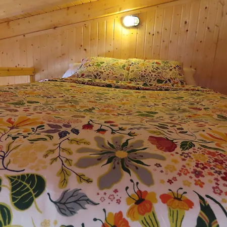 Apartament House Of Yucca